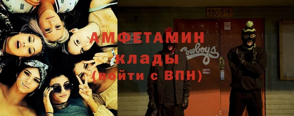гидра Арсеньев