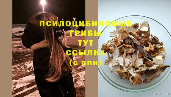 первитин Алексеевка