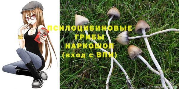 a pvp Алзамай